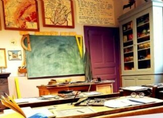 Nuit des Musées Vincent Froideville