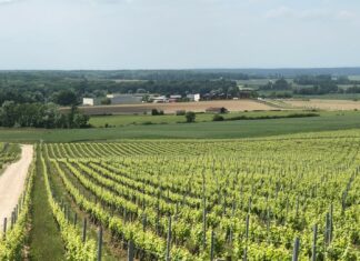 Arbois. Un projet solaire controversé Zone B