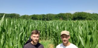 Les gérants devant le labyrinthe géant de Foucherans