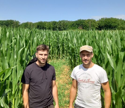 Les gérants devant le labyrinthe géant de Foucherans