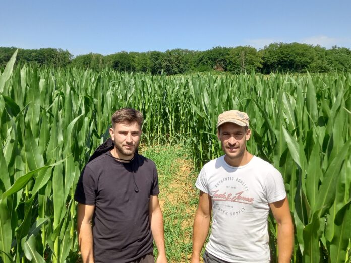 Les gérants devant le labyrinthe géant de Foucherans