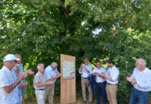 Nouveaux sentiers pédagogiques des Monts Dolois