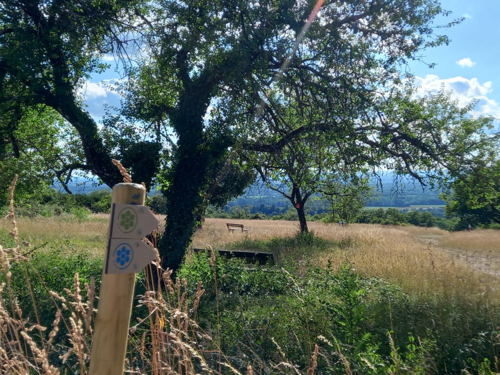 Paysages des Monts Dolois