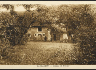 Eliminer mauvaises herbes astuces de grand mère