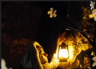 Contes féériques Grande Saline Royale - Or Blanc