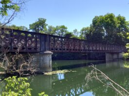Sauts interdits des ponts à Dole