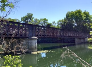 Sauts interdits des ponts à Dole
