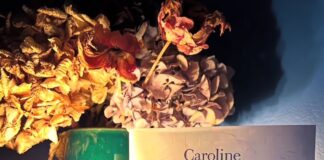Roman 22 Longueurs de Caroline Wahl