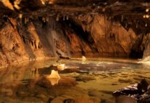 Visite Grotte d'Osselle