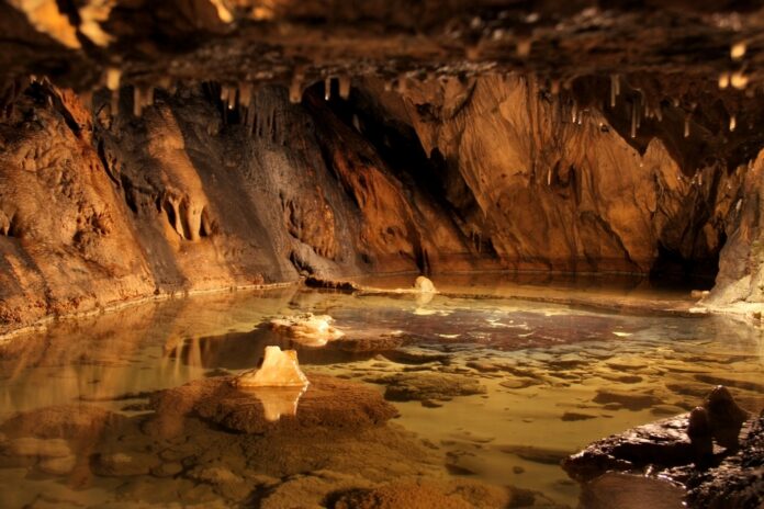 Visite Grotte d'Osselle