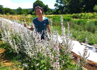 Ferme Cassiopée Jura