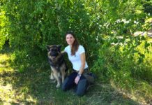 éducation canine relationnelle Jura