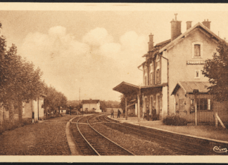 Rubrique. Almanach de la semaine du 21 Juillet 2025 journées internationales et astuces santé - Gare de Chaurmergy