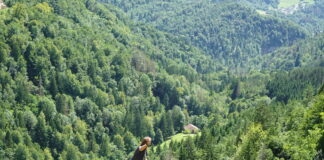Highline Jura