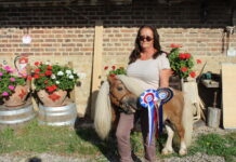 poney club Pirouette