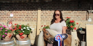 poney club Pirouette