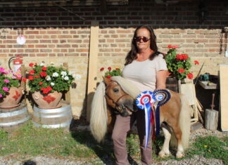 poney club Pirouette