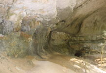 Grotte Caborne du Bœuf : trésor naturel à Saint-Hymetière