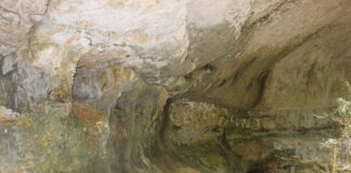 Grotte Caborne du Bœuf : trésor naturel à Saint-Hymetière