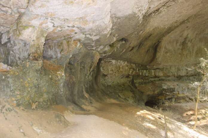 Grotte Caborne du Bœuf : trésor naturel à Saint-Hymetière