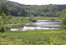 Lac de Viremont Jura