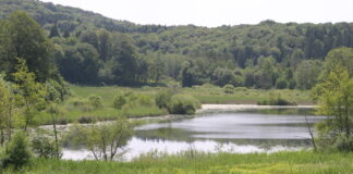 Lac de Viremont Jura