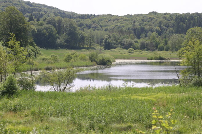 Lac de Viremont Jura