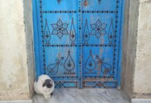 vacances Francs-Comtois Tunis