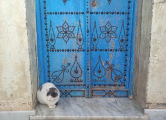 vacances Francs-Comtois Tunis