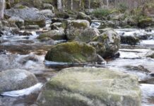 Qualité Rivière