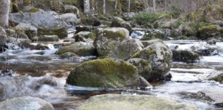 Qualité Rivière