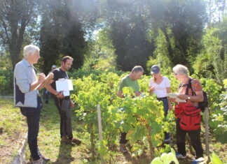 vigne patrimoniale Arinthod