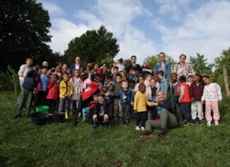 Lons-le-Saunier. Les vendanges du Clos Rouget-de-Lisle : un rendez-vous de partage et de découverte