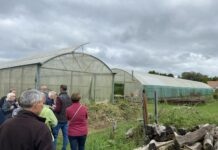La ferme du Creux-Vincent, une ferme pas comme les autres.