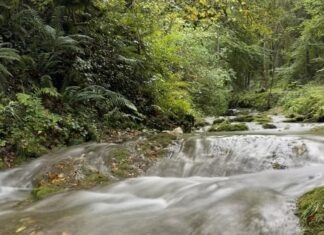 Oyonnax. La Fête de l’Eau revient pour une balade au fil de la Sarsouille Randonneur sur le départ