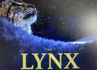 Morez. 1ère édition du Festival de cinéma Écran Vertical : Sport & Nature… Festival Écran Vertical