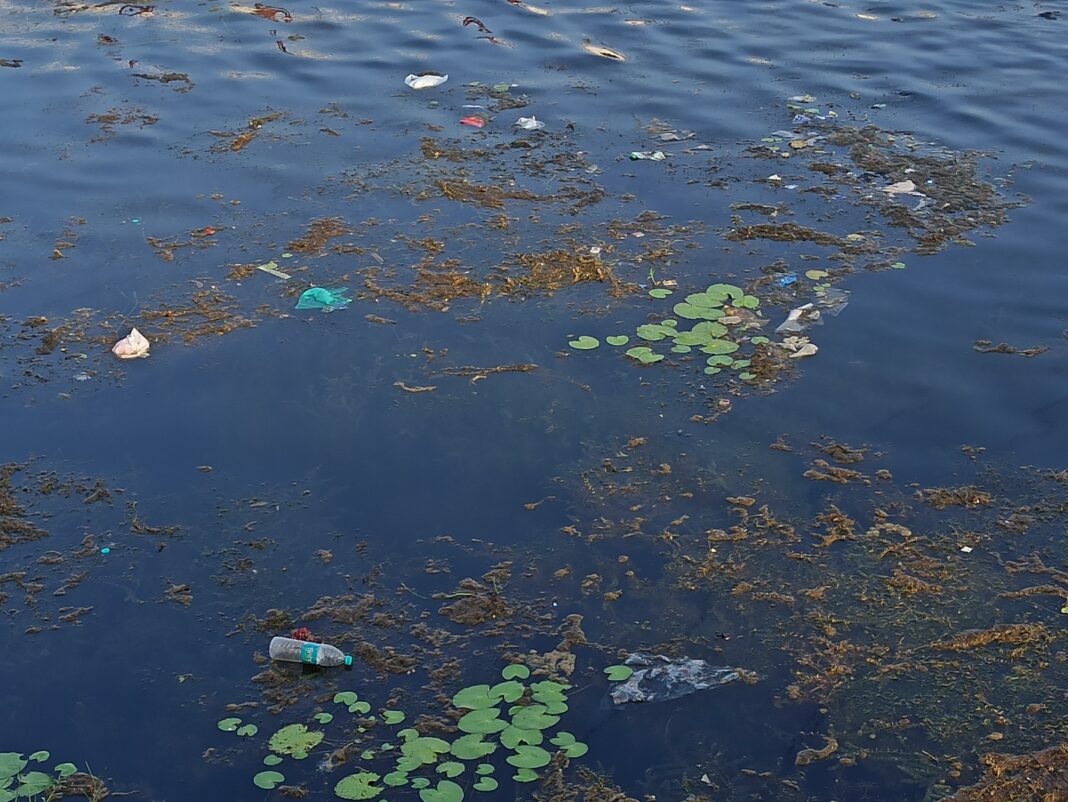 Un lac en Inde. Crédit : Anthony Soares. Lac en Inde