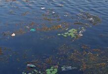 Rubrique. Au fil des voyages : Confronté à la pauvreté indienne Lac en Inde