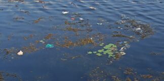 Rubrique. Au fil des voyages : Confronté à la pauvreté indienne Lac en Inde