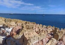 Rubrique. Au fil des voyages : Prix cassés et enfant en laisse sur la Côte d’Azur anecdotes Côte d’Azur