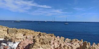 Rubrique. Au fil des voyages : Prix cassés et enfant en laisse sur la Côte d’Azur anecdotes Côte d’Azur