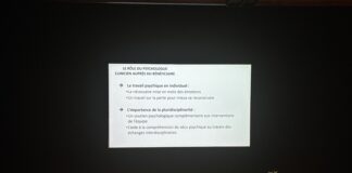 Les professionnels se sont succédé pour apporter un éclairage à ce type de handicap, bien spécifique.