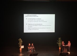 Les professionnels se sont succédé pour apporter un éclairage à ce type de handicap, bien spécifique.