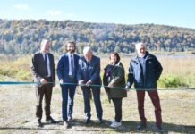 restauration du lac de Chambly