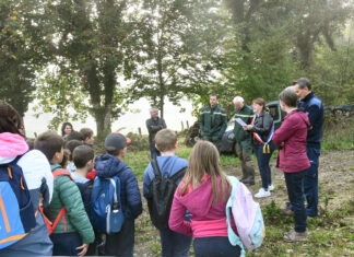 forêt pédagogique Poids-de-Fiole