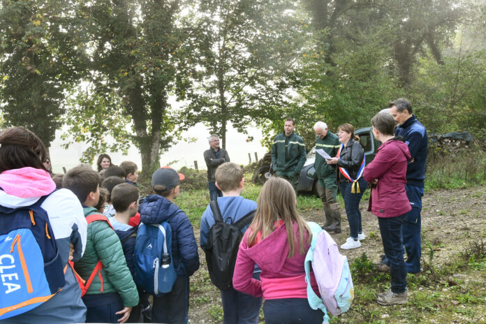 forêt pédagogique Poids-de-Fiole