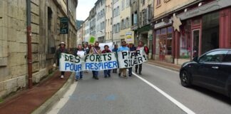 Salins-les-Bains. Le projet d’usine à pellets refait surface
