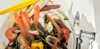 Auxonne. Un atelier pour transformer vos déchets en ressources atelier compostage Auxonne