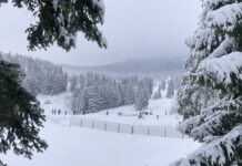 Haut-Jura. Un hiver nordique à prix doux… pass nordique Hautes-Combes