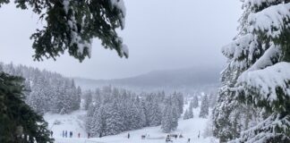Haut-Jura. Un hiver nordique à prix doux… pass nordique Hautes-Combes